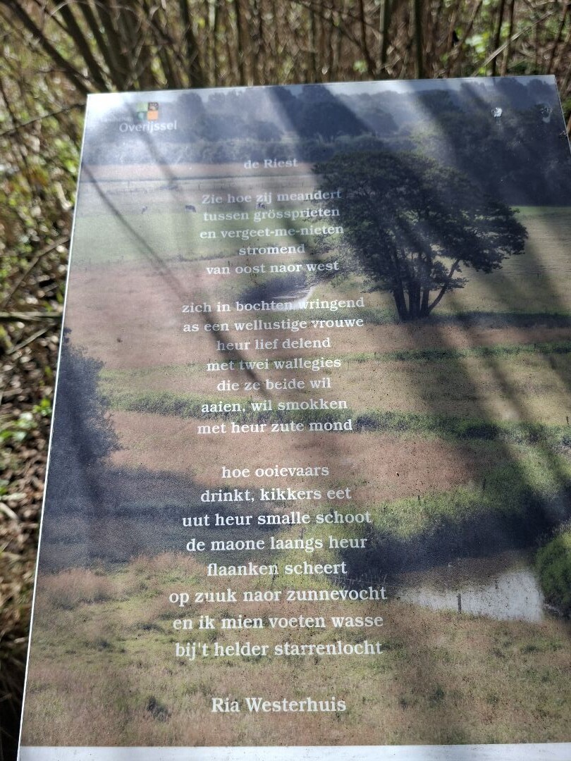 Oud Avereest - Groen