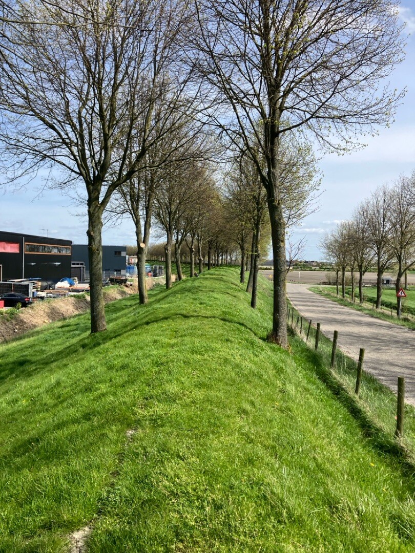 Stavenisse - Scherpenisse · Oosterscheldepad etappe 9