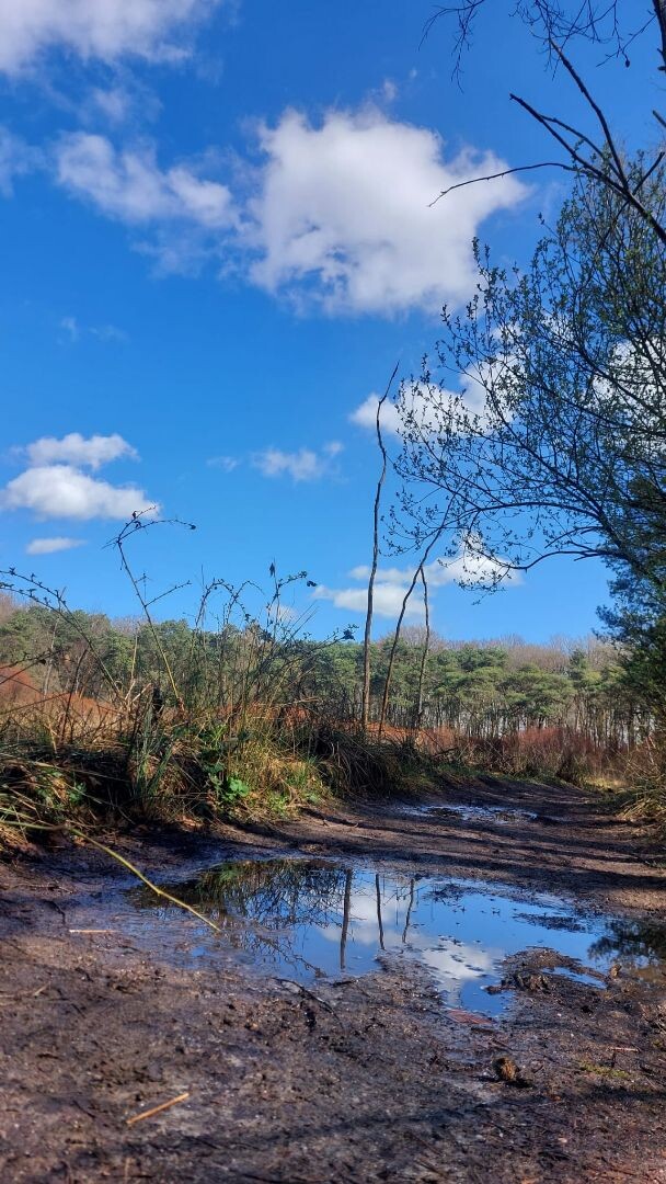 Groningen - Zuidlaren · Pieterpad etappe 3