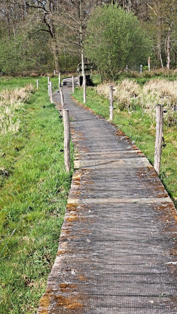 Meppen - Gees · Cultuurpad Coevorden etappe 3