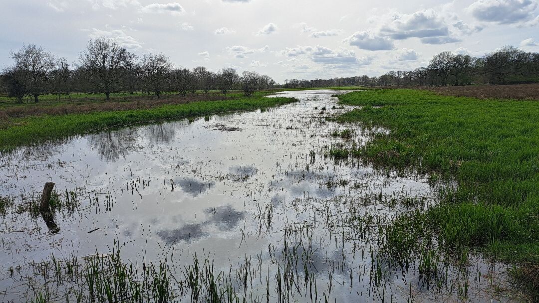 Meppen - Gees · Cultuurpad Coevorden etappe 3