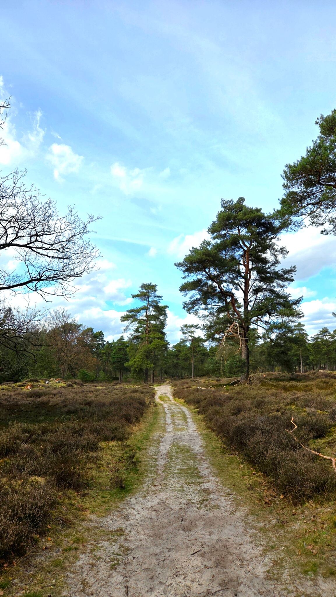 Wandelroute Ruinen wit