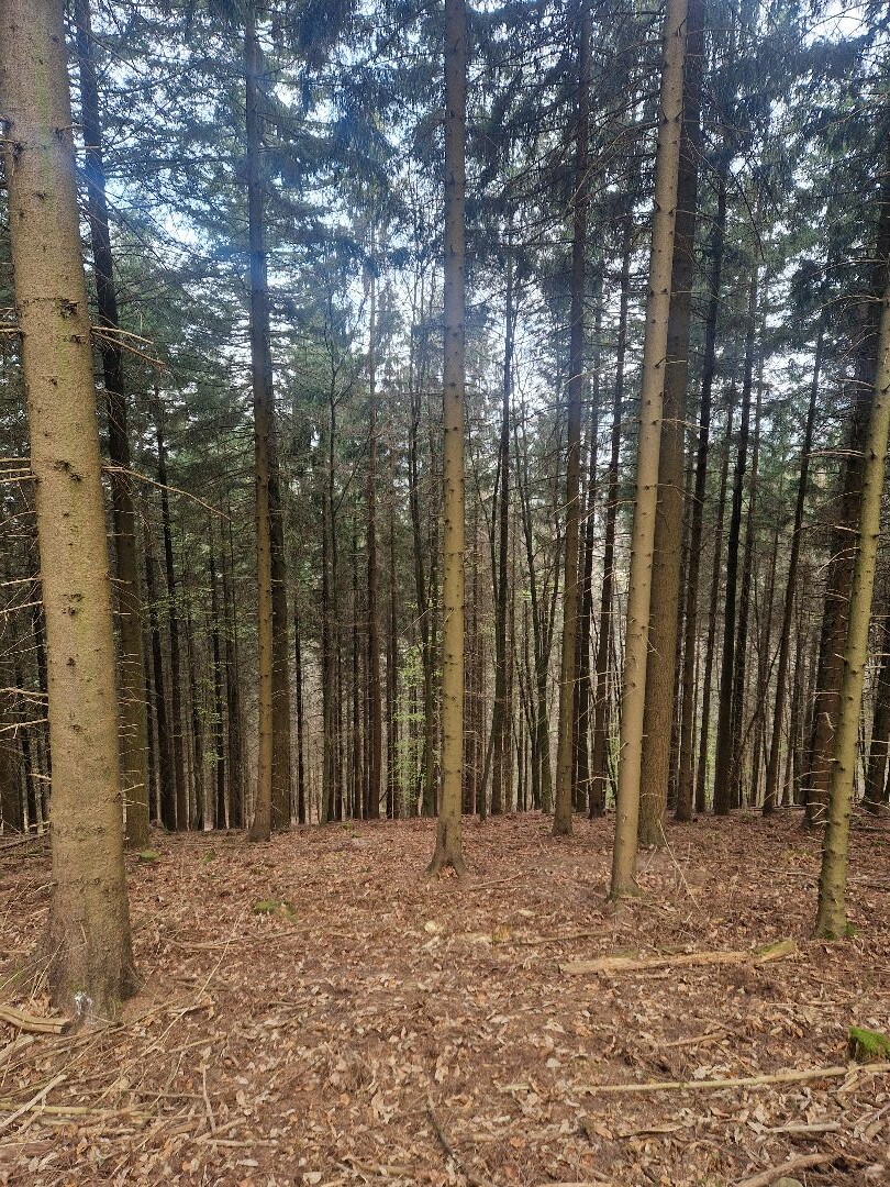 Weißer Stein