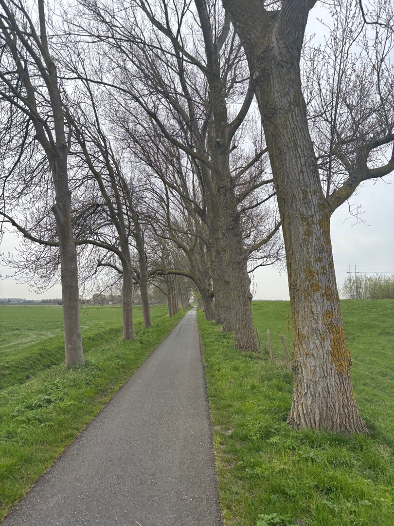 Krommenie - Veer Buitenhuizen · Waterliniepad etappe 3