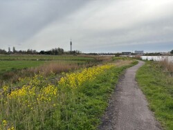 Veer Buitenhuizen - Haarlemmerliede · Waterliniepad etappe 4