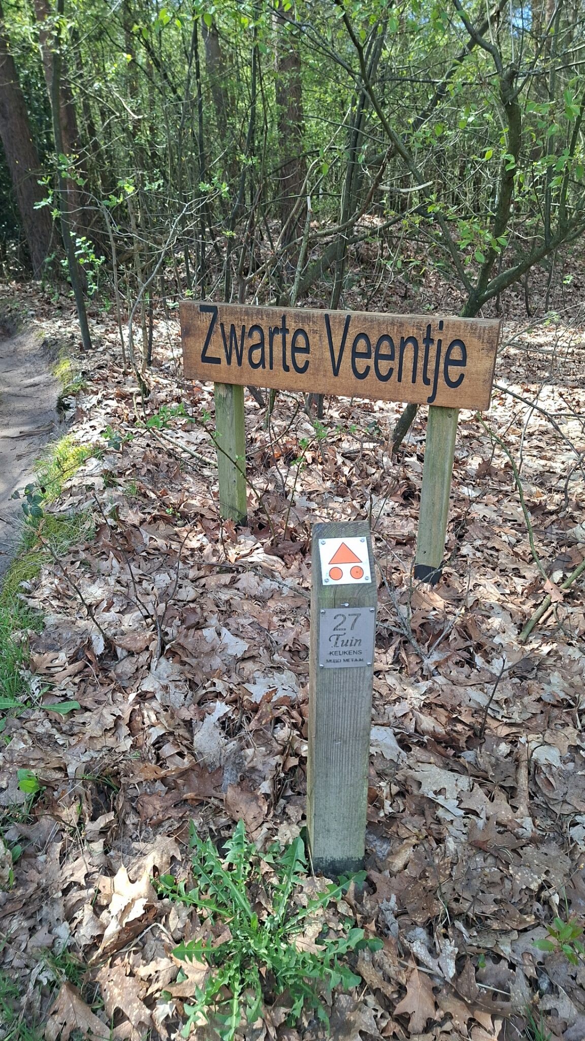 Camino del Overijssel