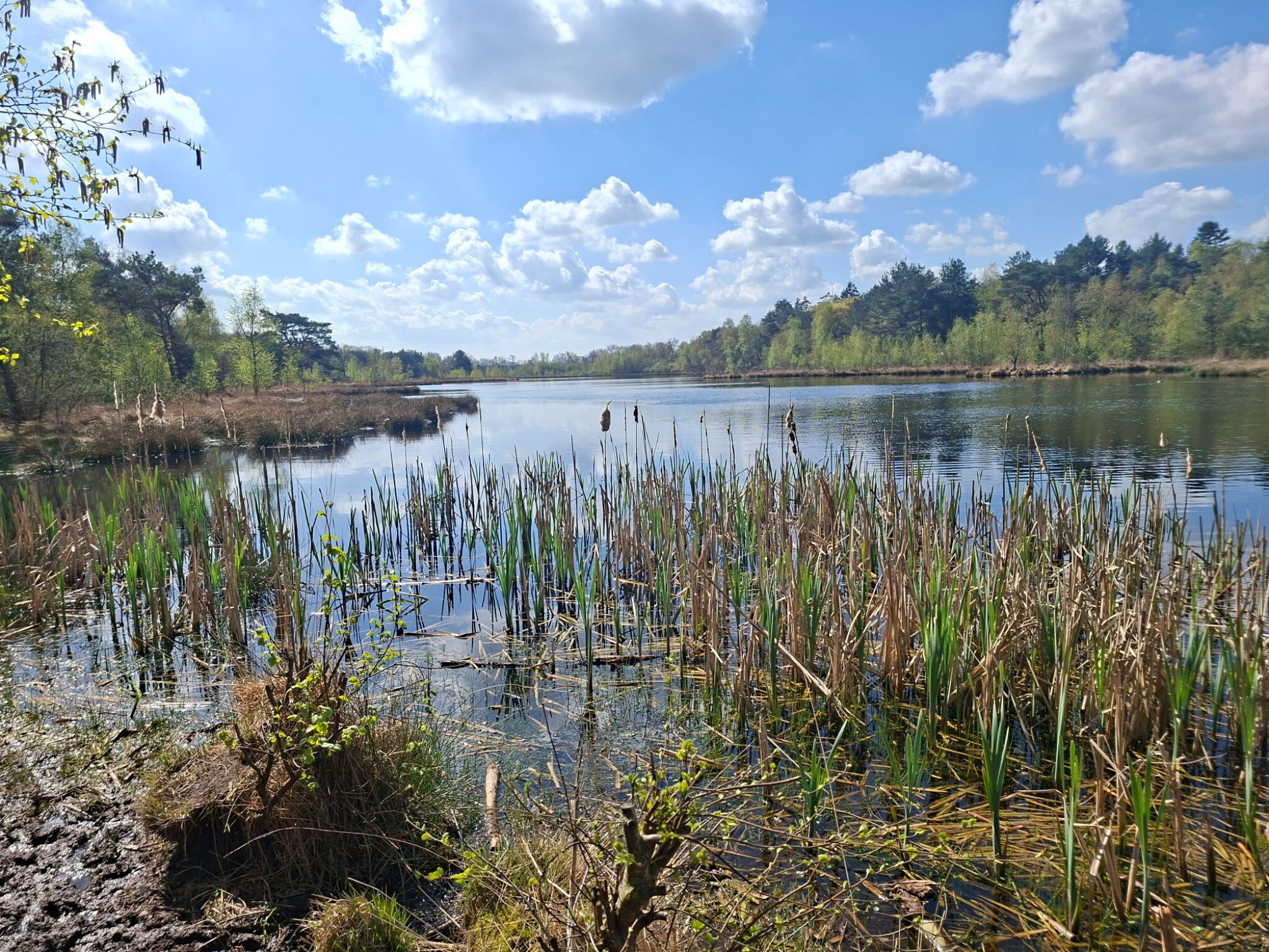 Echten - Staphorst · Jacobspad Uithuizen - Hasselt etappe 11