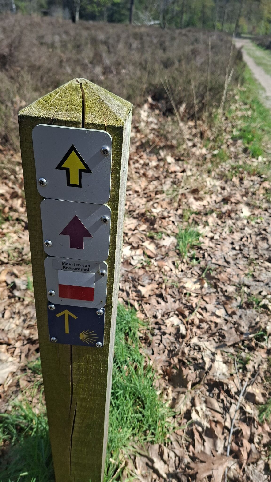 Camino del Overijssel