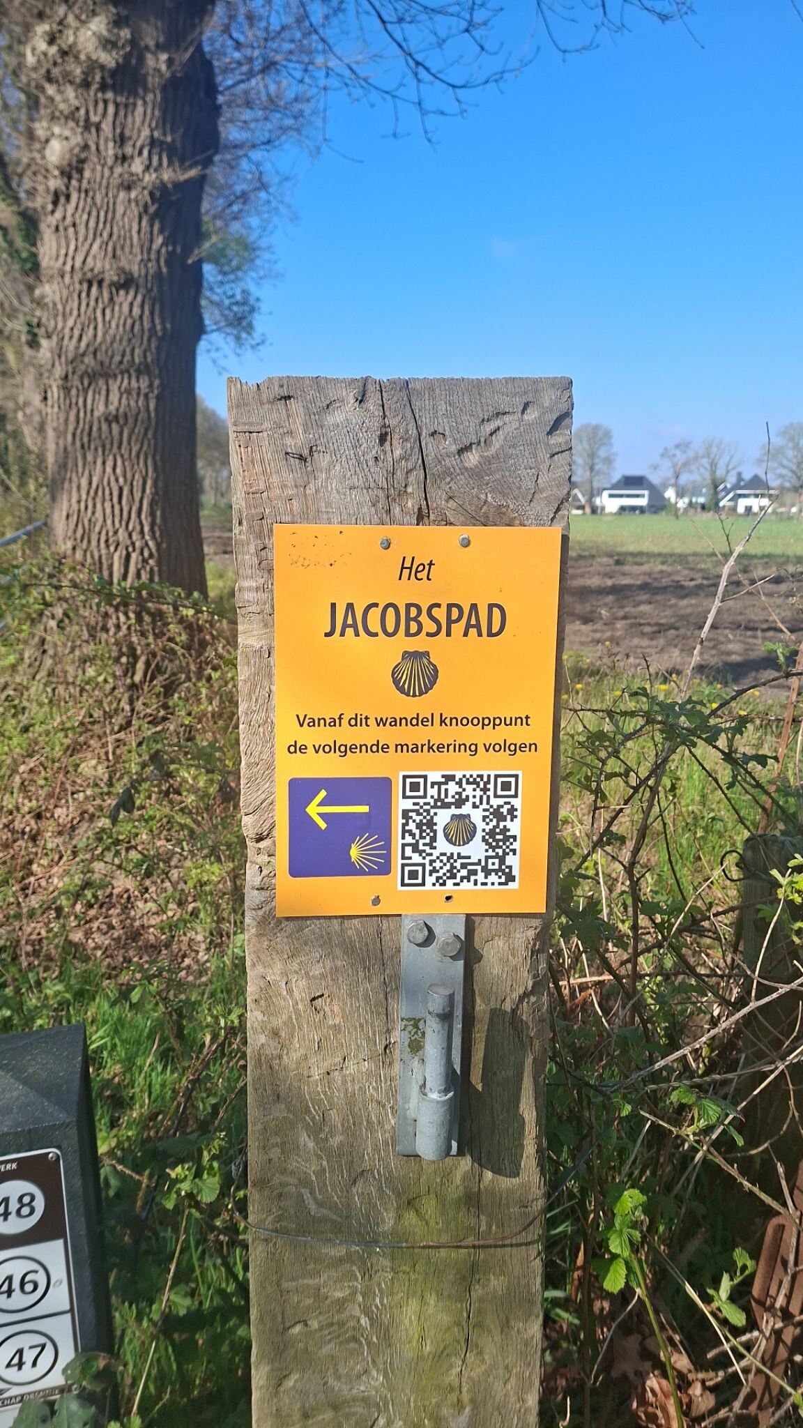 Camino del Overijssel