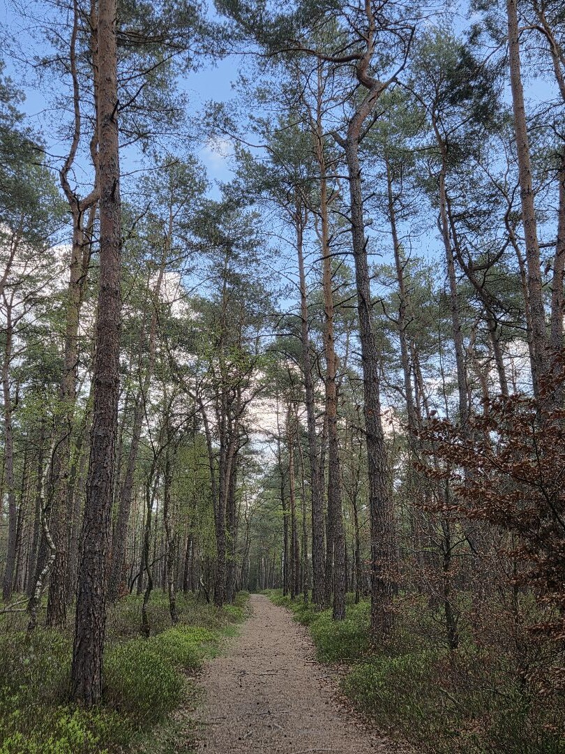 Hoenderloo - Loenen · Trekvogelpad etappe 18