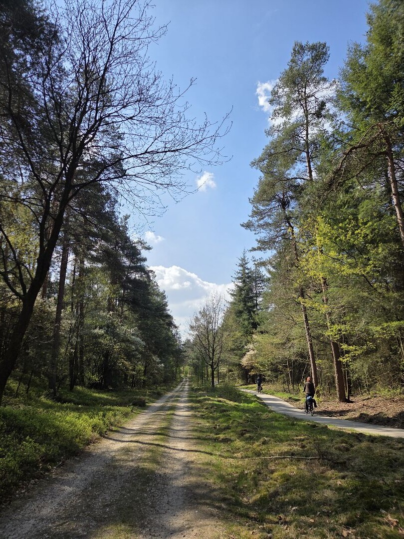 Hoenderloo - Loenen · Trekvogelpad etappe 18