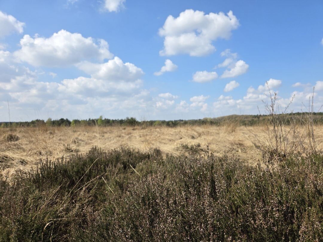 Hoenderloo - Loenen · Trekvogelpad etappe 18