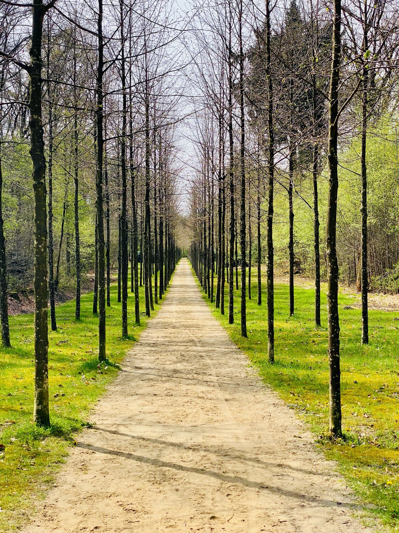 Laren - Vorden · Pieterpad etappe 13