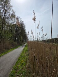 Loenen - Brummen · Trekvogelpad etappe 19