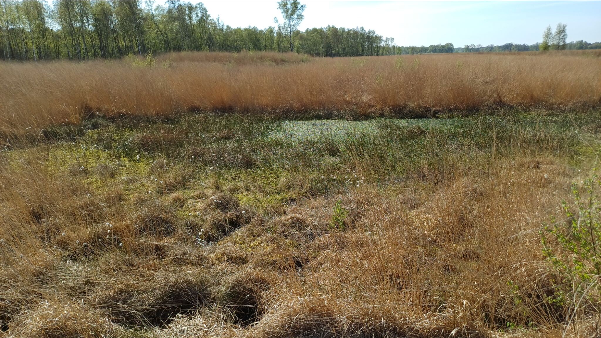 Sibculo naar Manderveen- "TwenteRand" · NederRandpad etappe 8