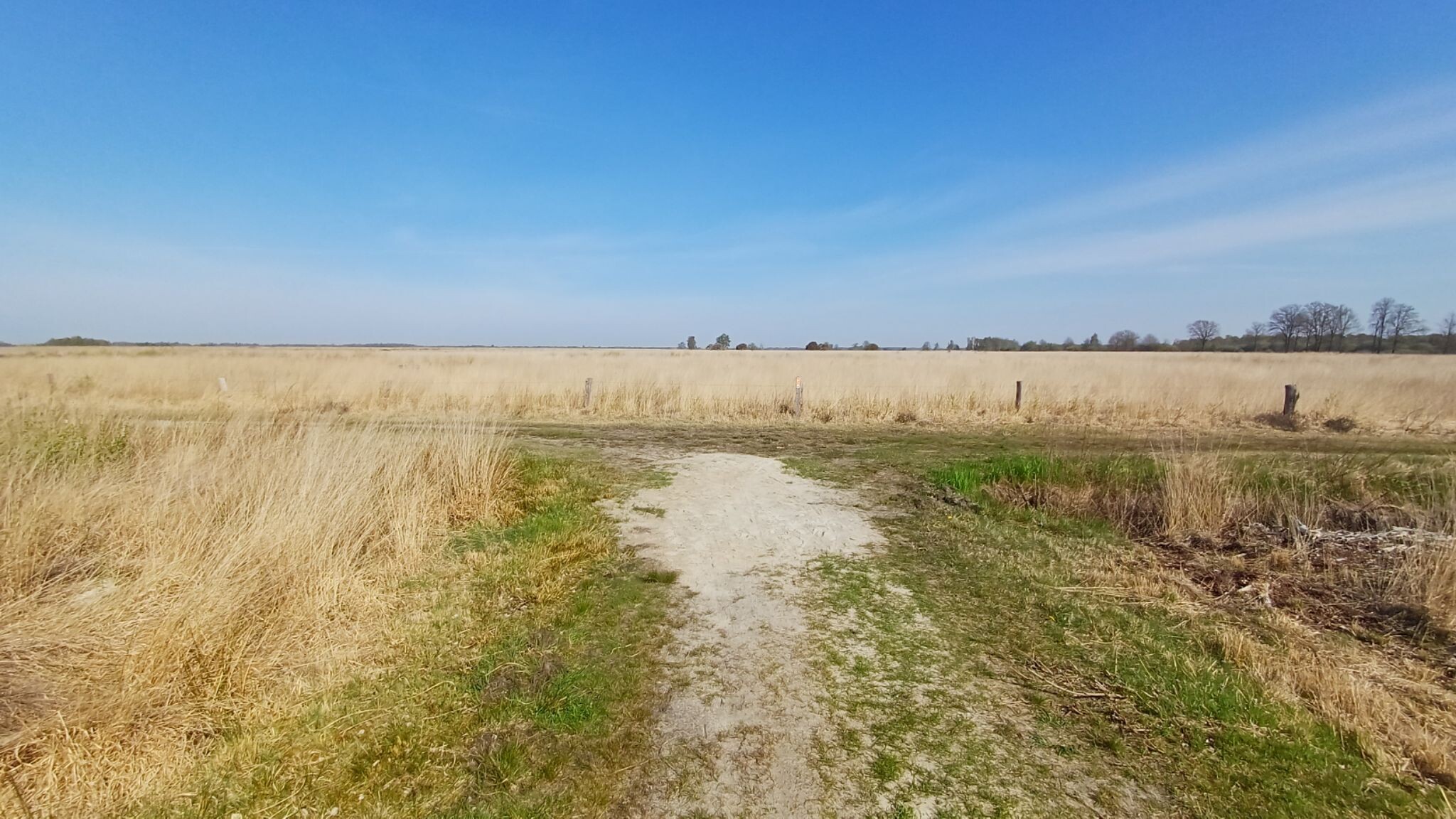 Wandelroute Engbertsdijksvenen Leidijkroute 