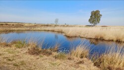 Wandelroute Engbertsdijksvenen Leidijkroute 