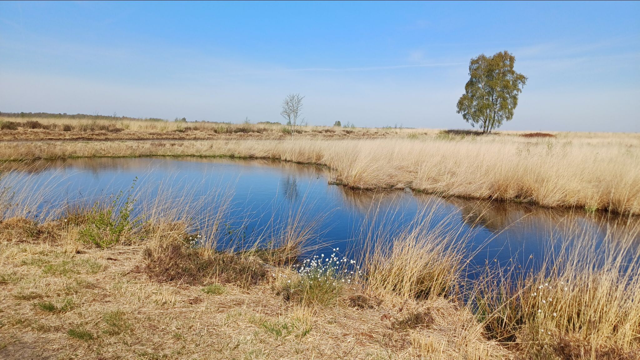 Sibculo naar Manderveen- "TwenteRand" · NederRandpad etappe 8