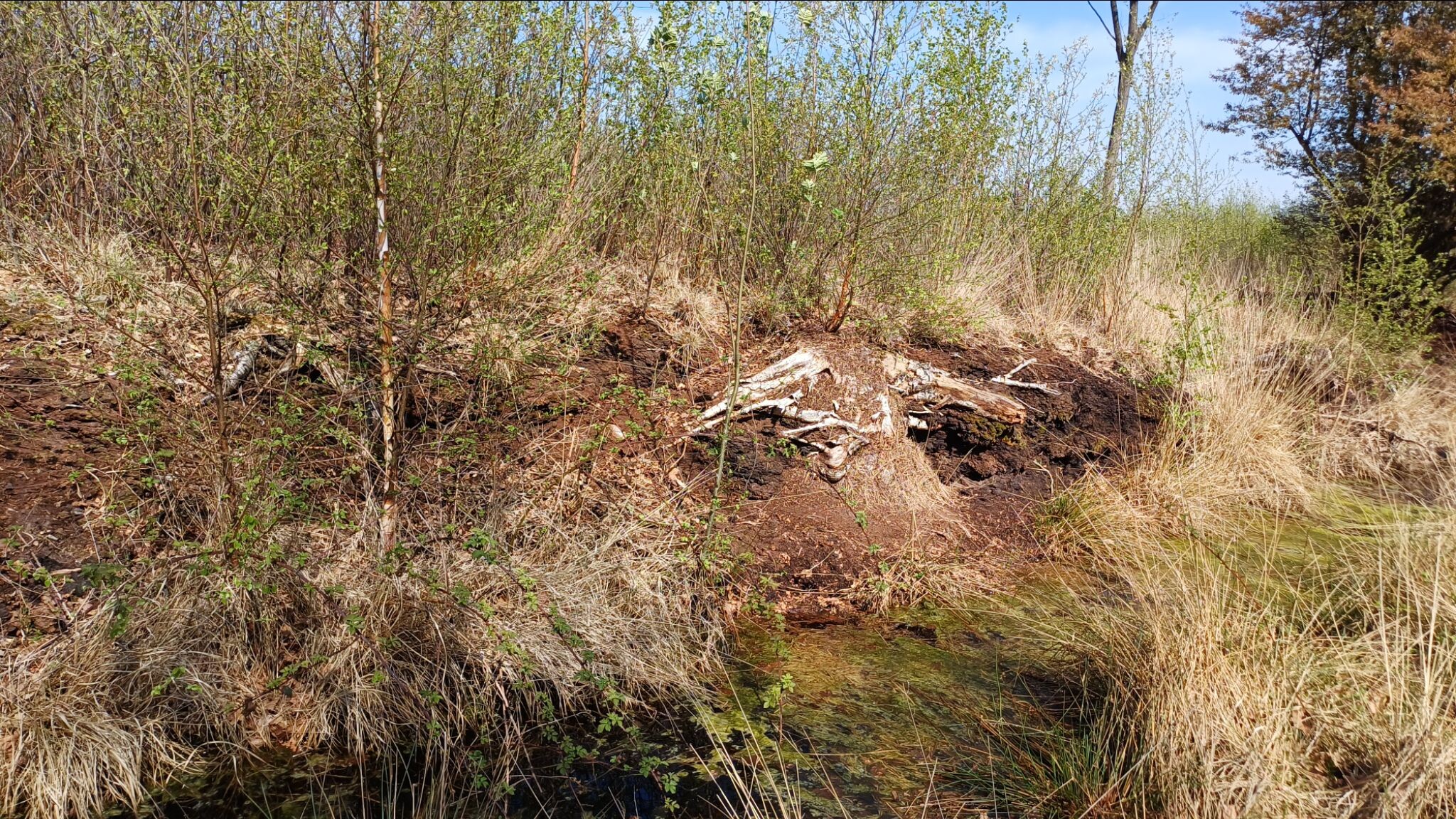 Wandelroute Engbertsdijksvenen Leidijkroute 