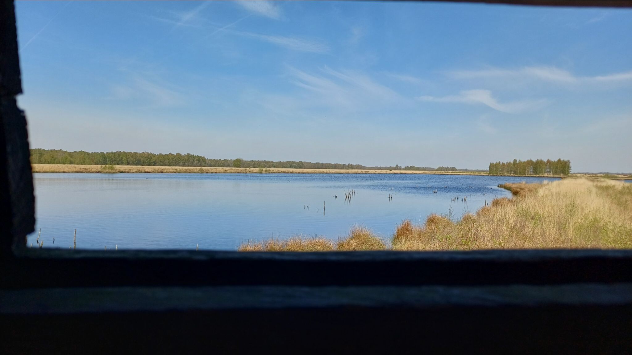 Wandelroute Engbertsdijksvenen Leidijkroute 