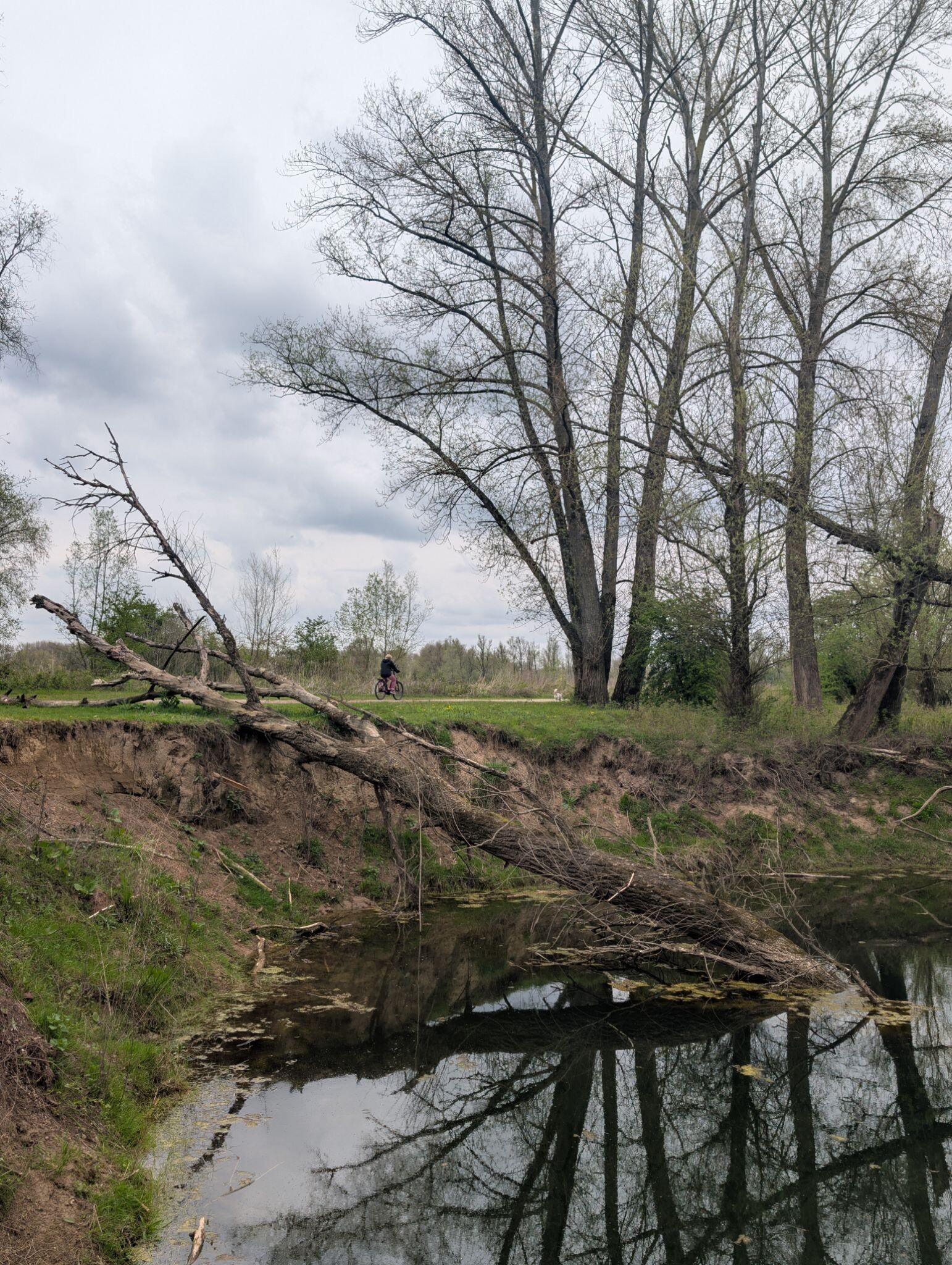 Naar de Millinger Theetuin