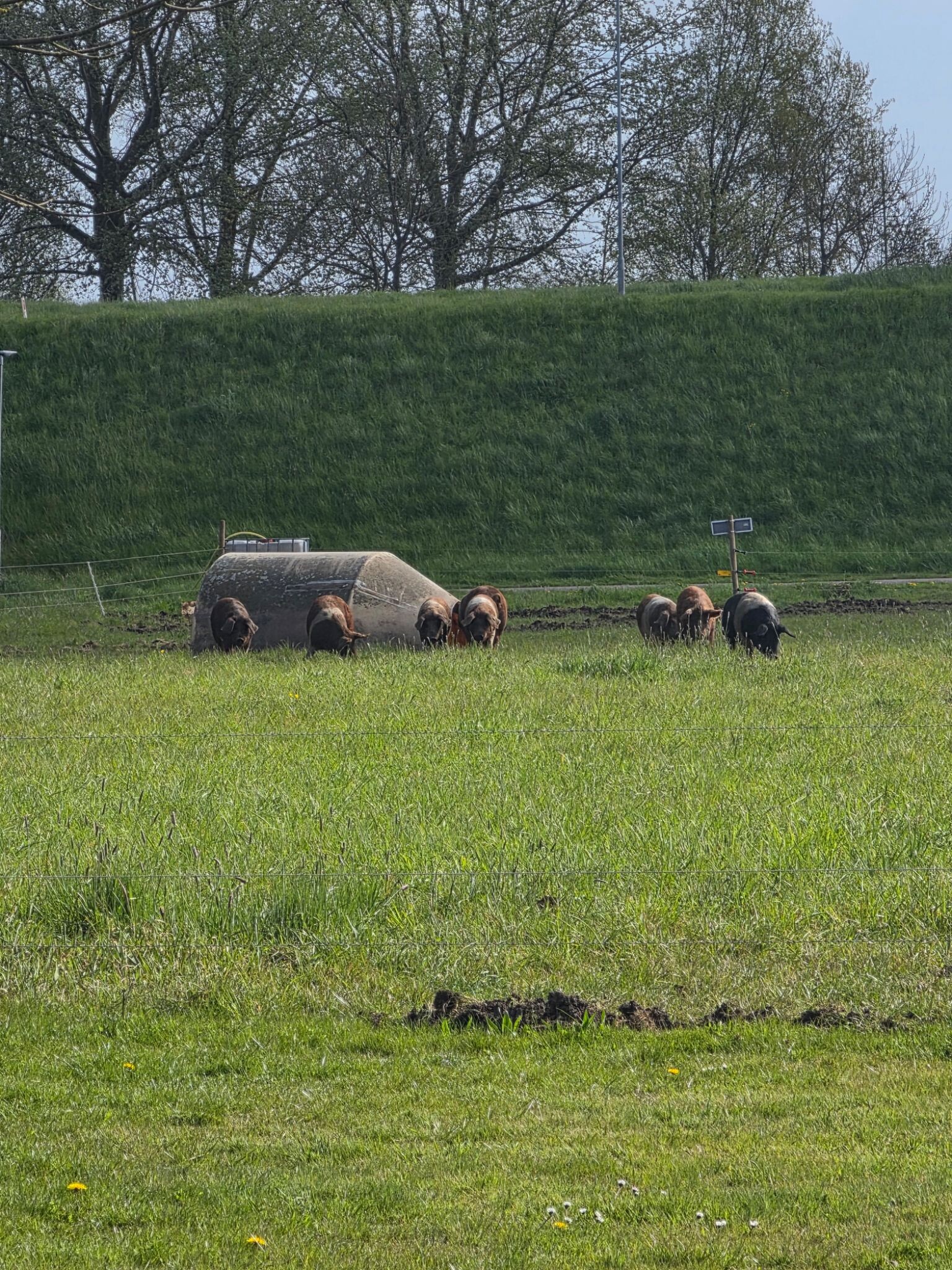 Medemblik, park, vooroever