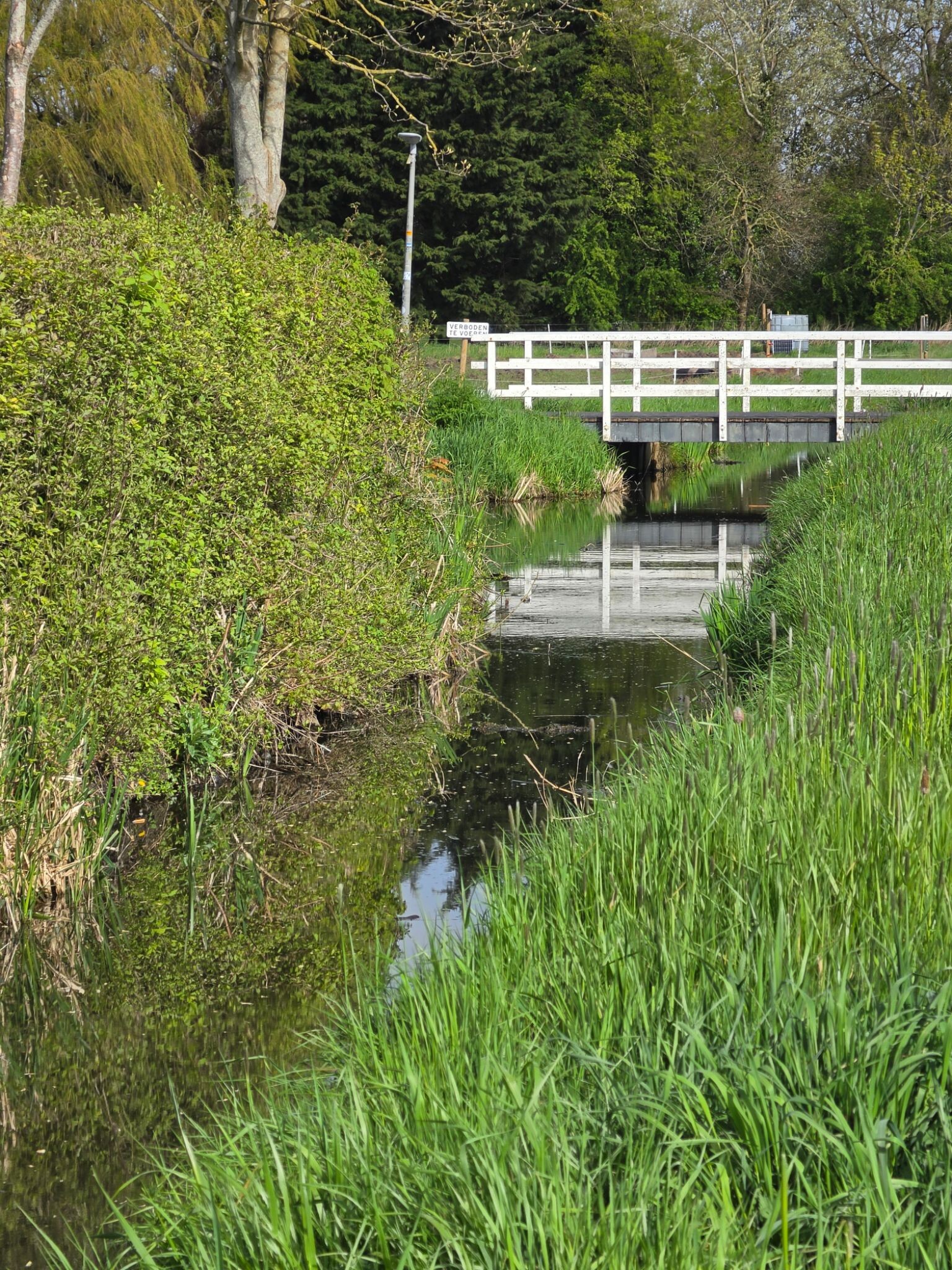 Medemblik, park, vooroever
