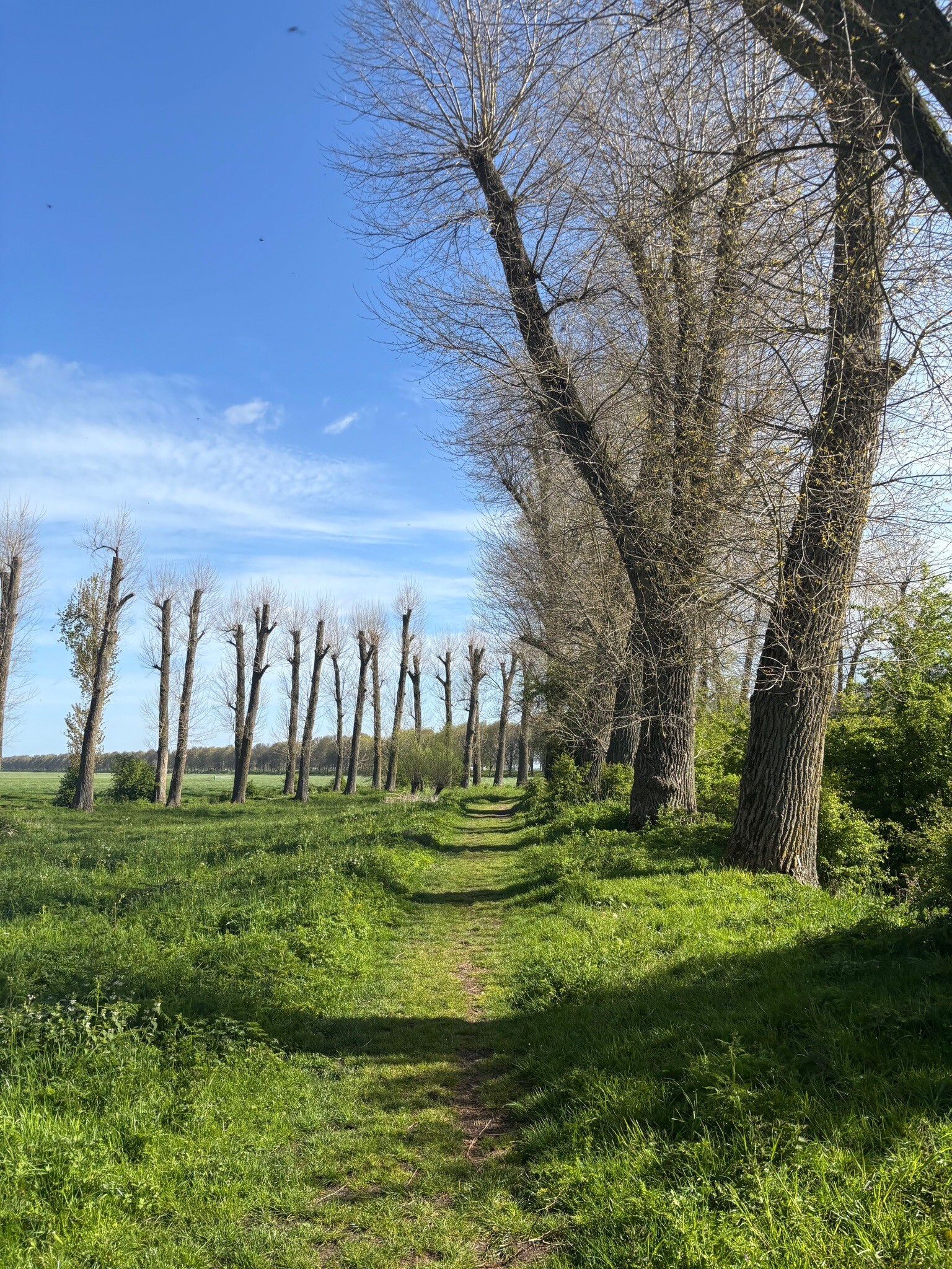 Wandelroute Liniepad, vlak bij Abcoude