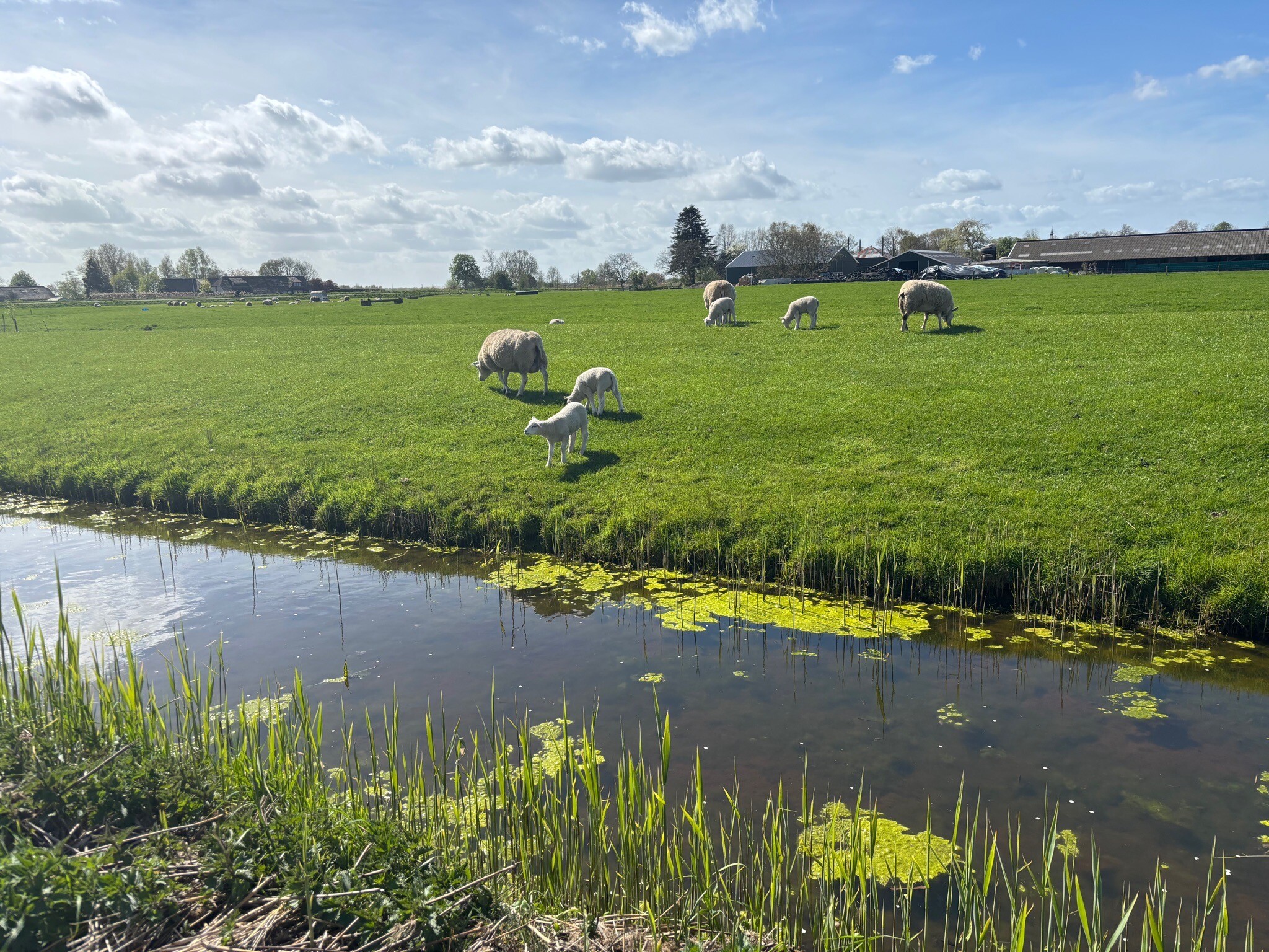 Abcoude - Weesp · Waterliniepad etappe 8