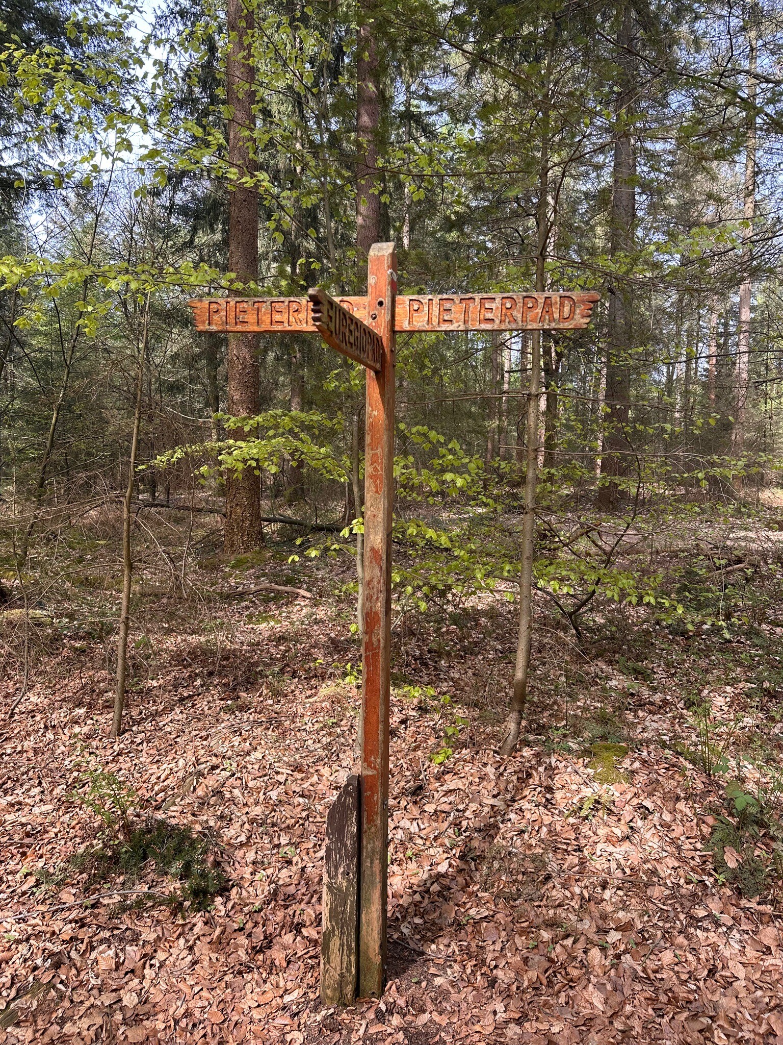 Berghse Bos wandelroute vanaf Landal Stroombroek