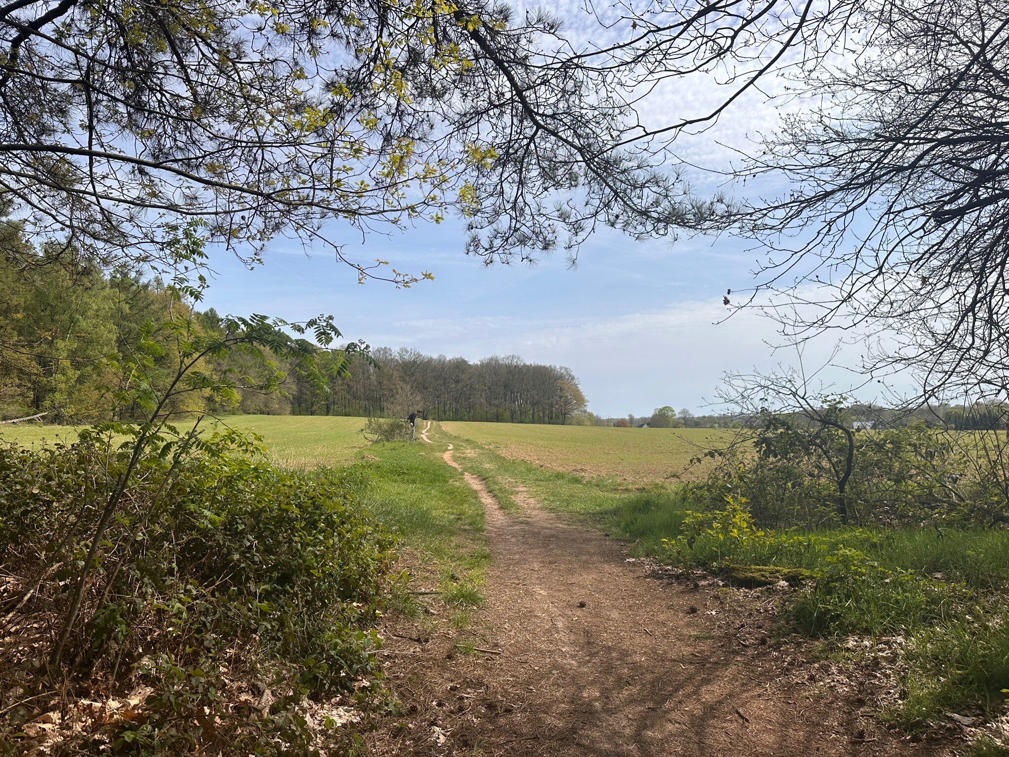 Berghse Bos wandelroute vanaf Landal Stroombroek