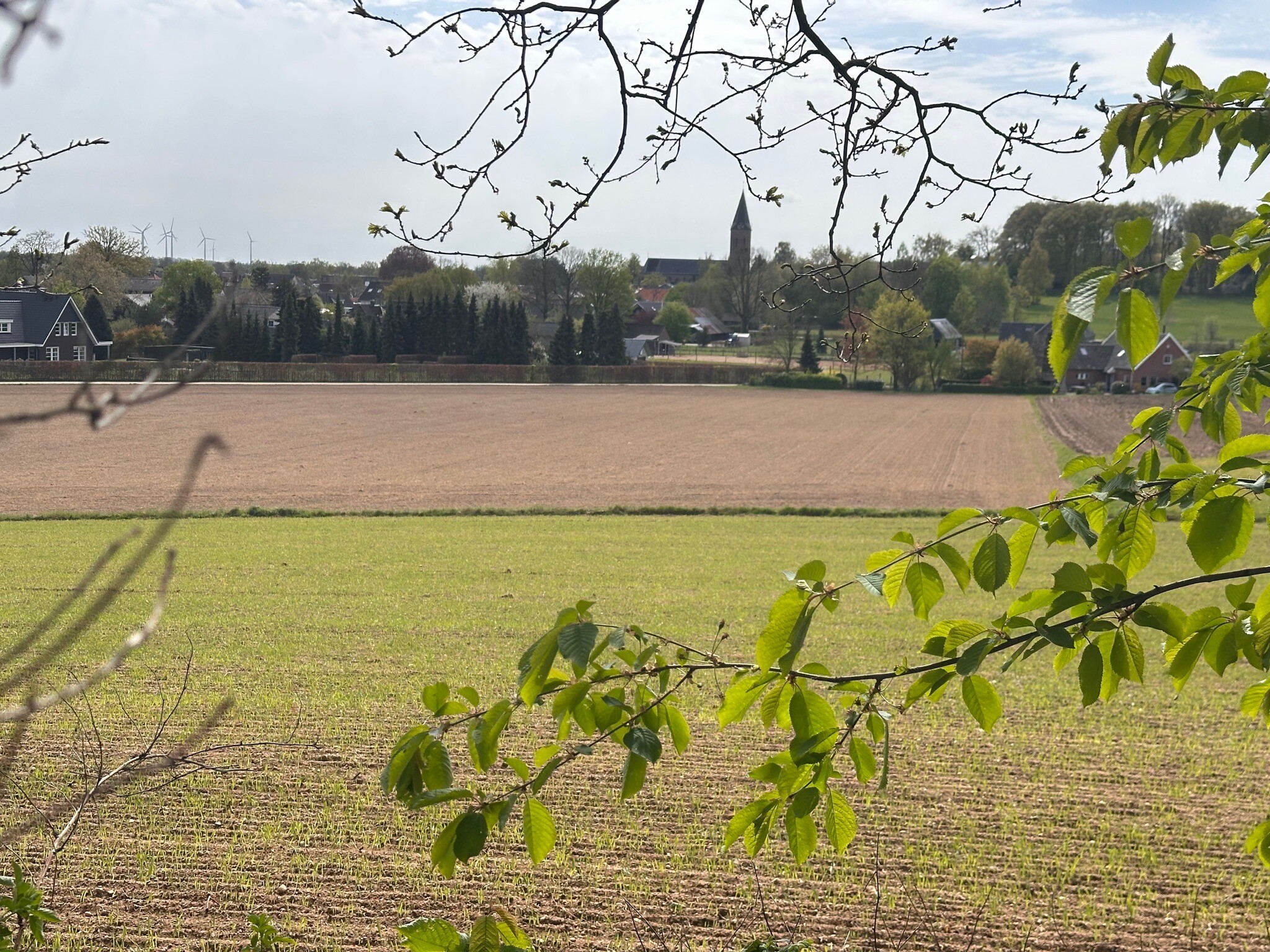 Berghse Bos wandelroute vanaf Landal Stroombroek