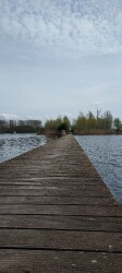 Nieuwe Bullewijkroute (groen)