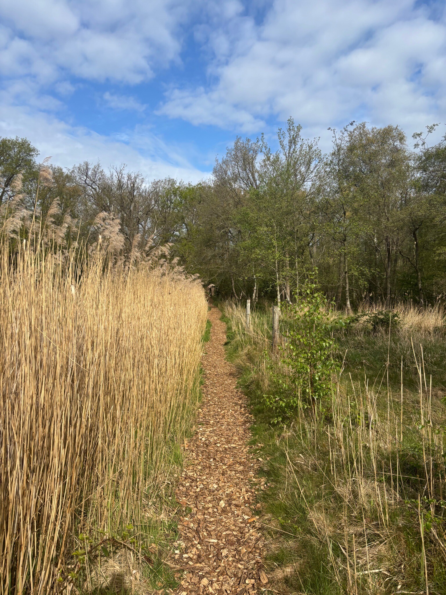 Wandelroute Holland op z'n mooist - Naardermeer