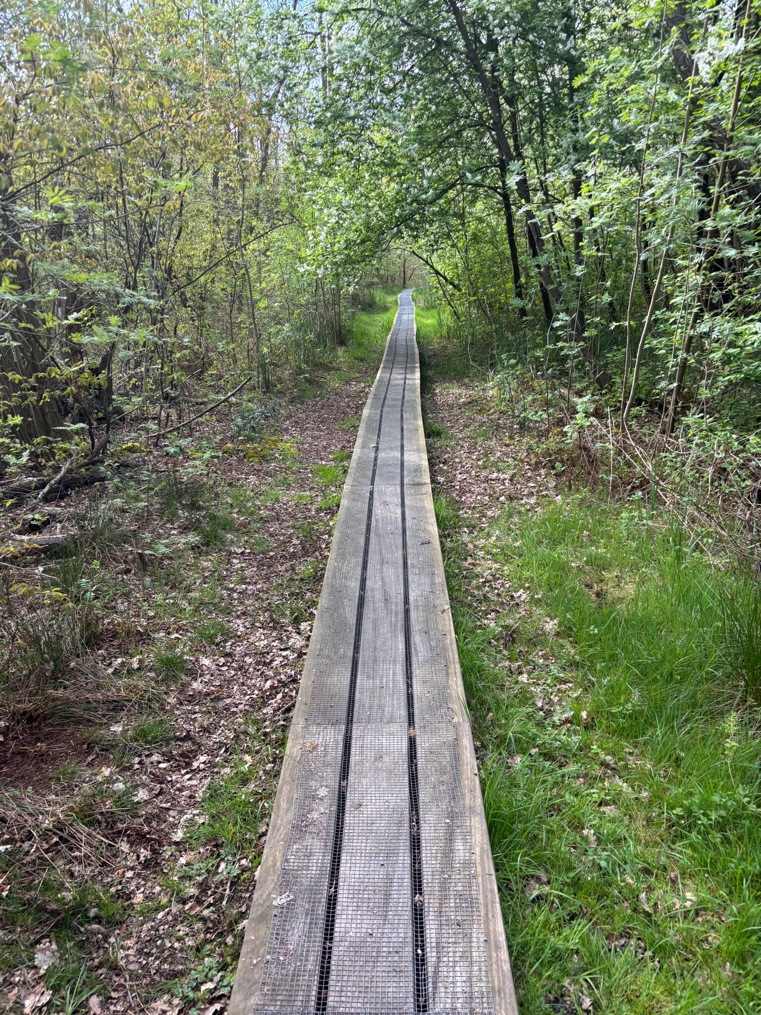Wandelroute Holland op z'n mooist - Naardermeer