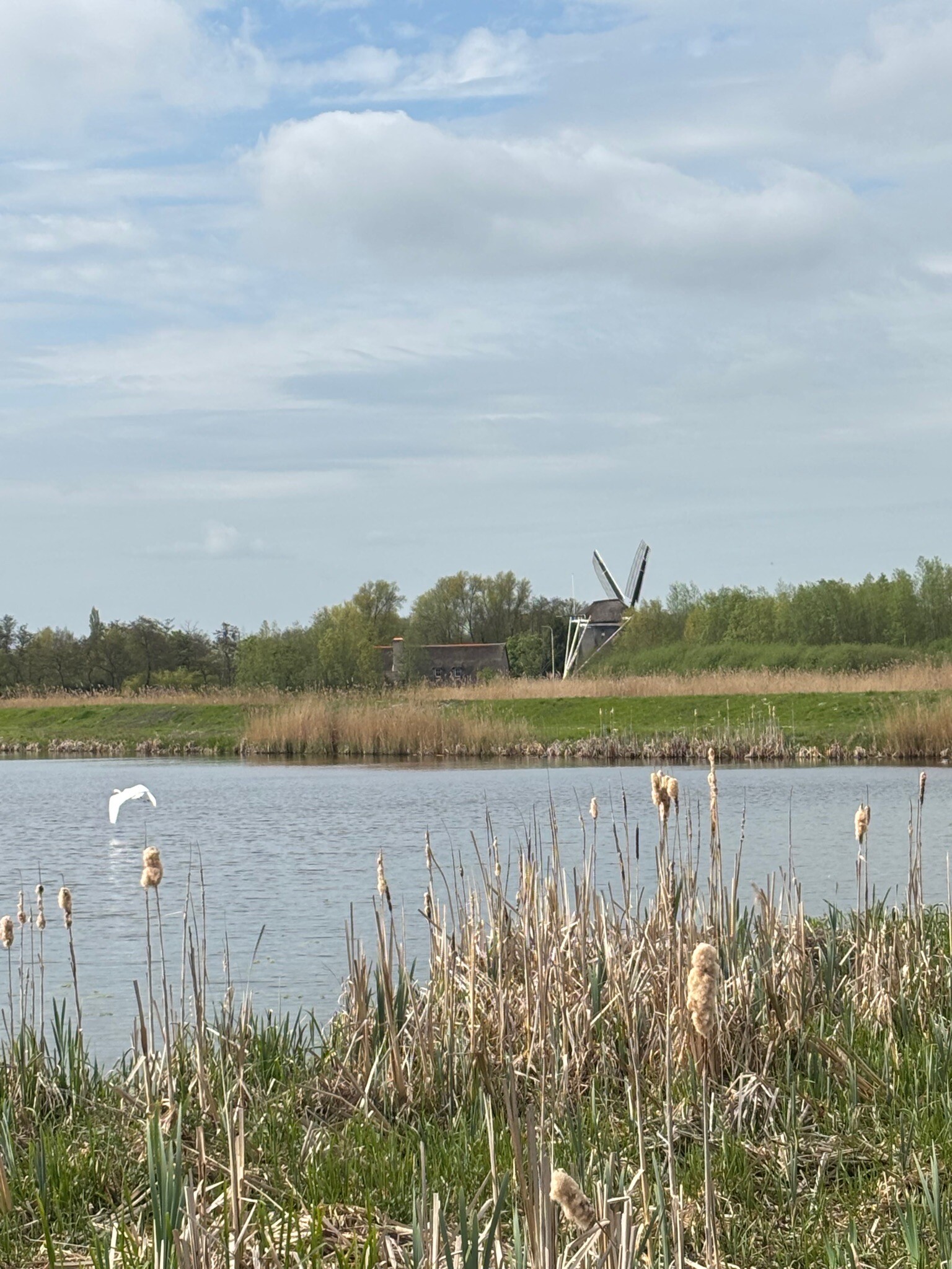 Wandelroute Holland op z'n mooist - Naardermeer