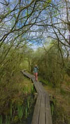 Wandelroute De Deelen (rood)
