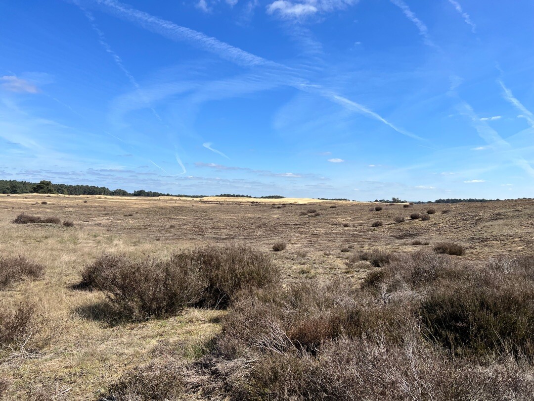 Klompenpad Hiensepad