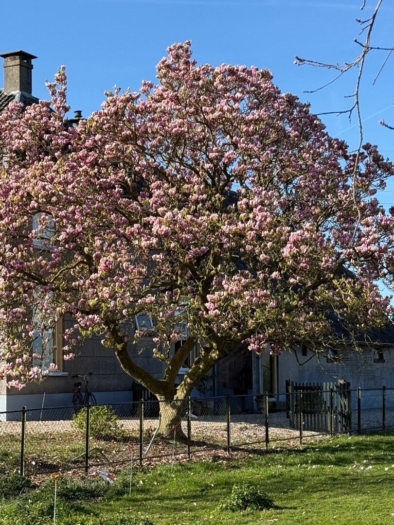 Teisterbantpad Kerk-Averzaath