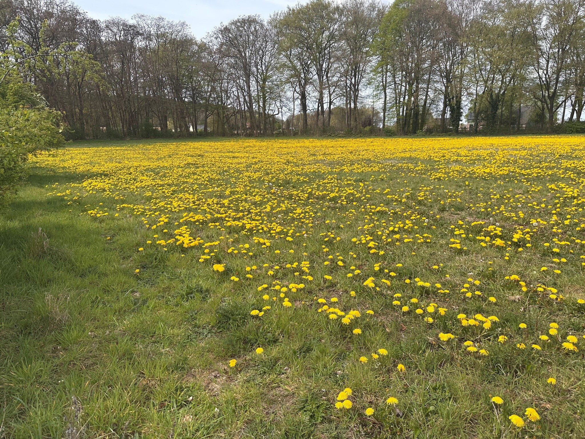 Kort rondje voor het ontbijt