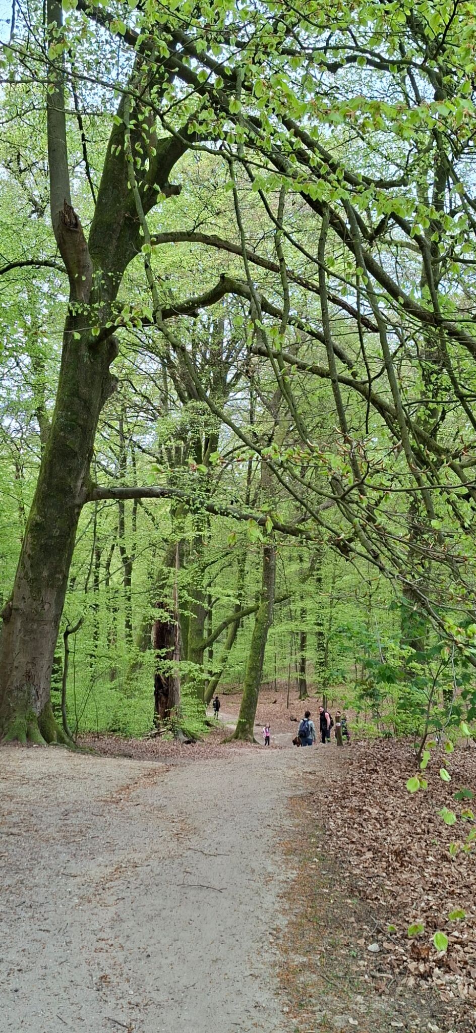 Wandeling Arnhem Heijenoord, Mariëndaal & Oosterbeek