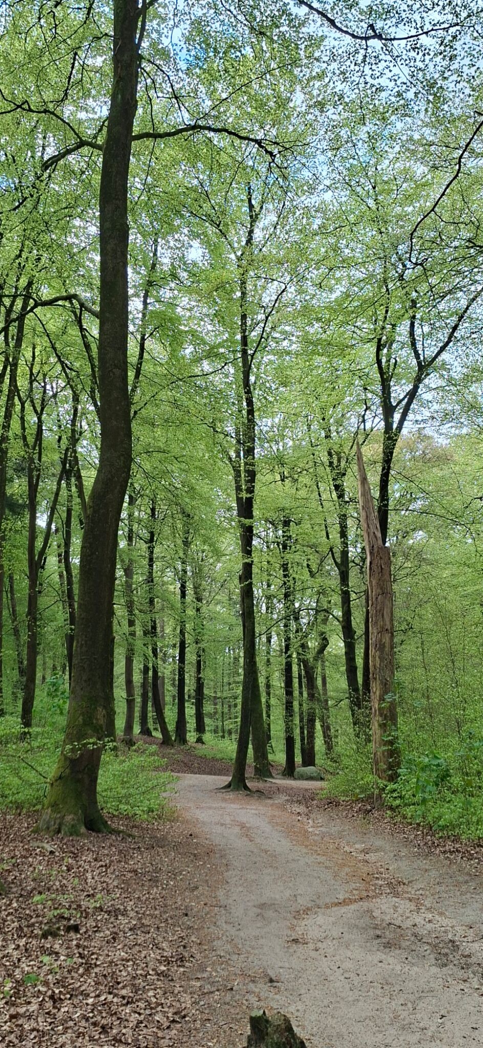 Wandeling Arnhem Heijenoord, Mariëndaal & Oosterbeek