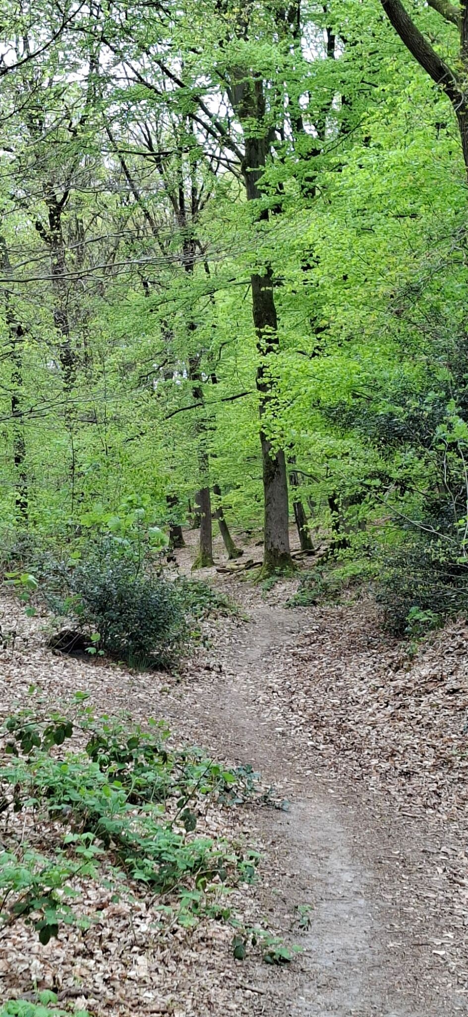 Airbornepad Market Garden - 30A · Airbornepad etappe 33