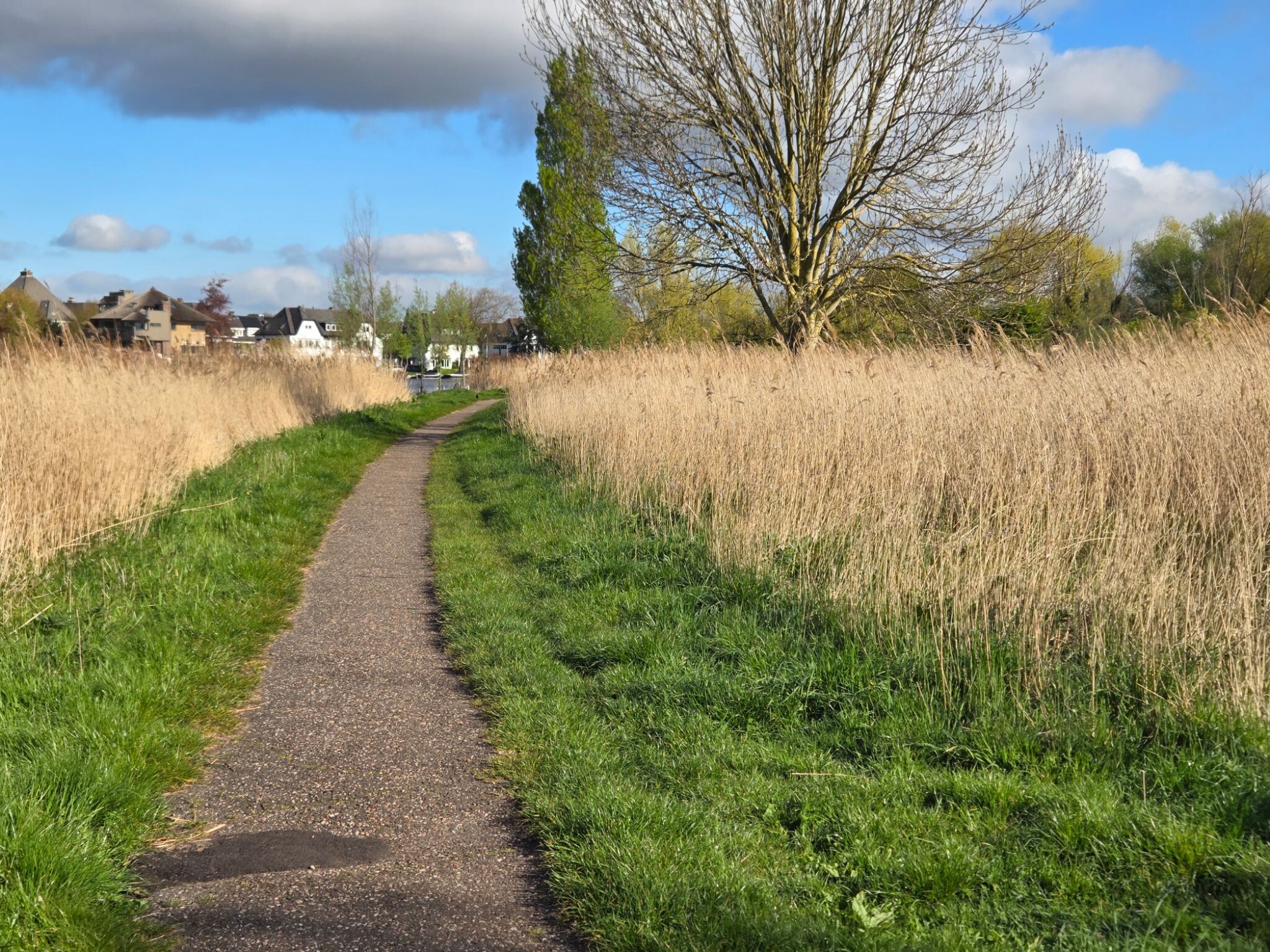 Haarlem - Leiden · Jacobsweg Die Haghe etappe 1