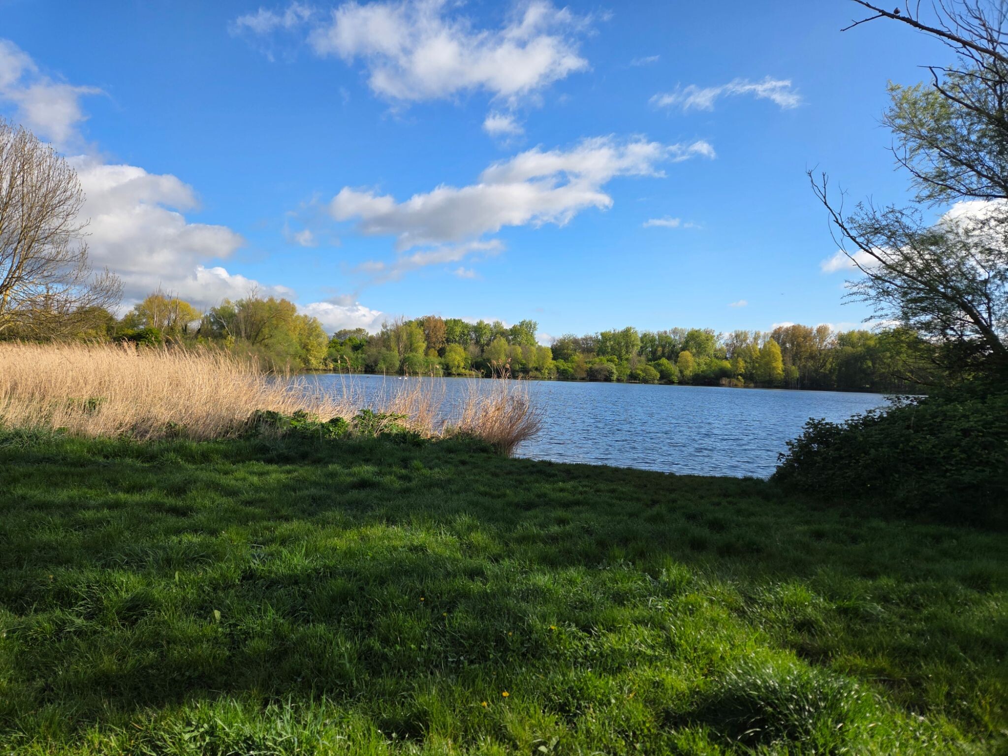 Haarlem - Leiden · Jacobsweg Die Haghe etappe 1