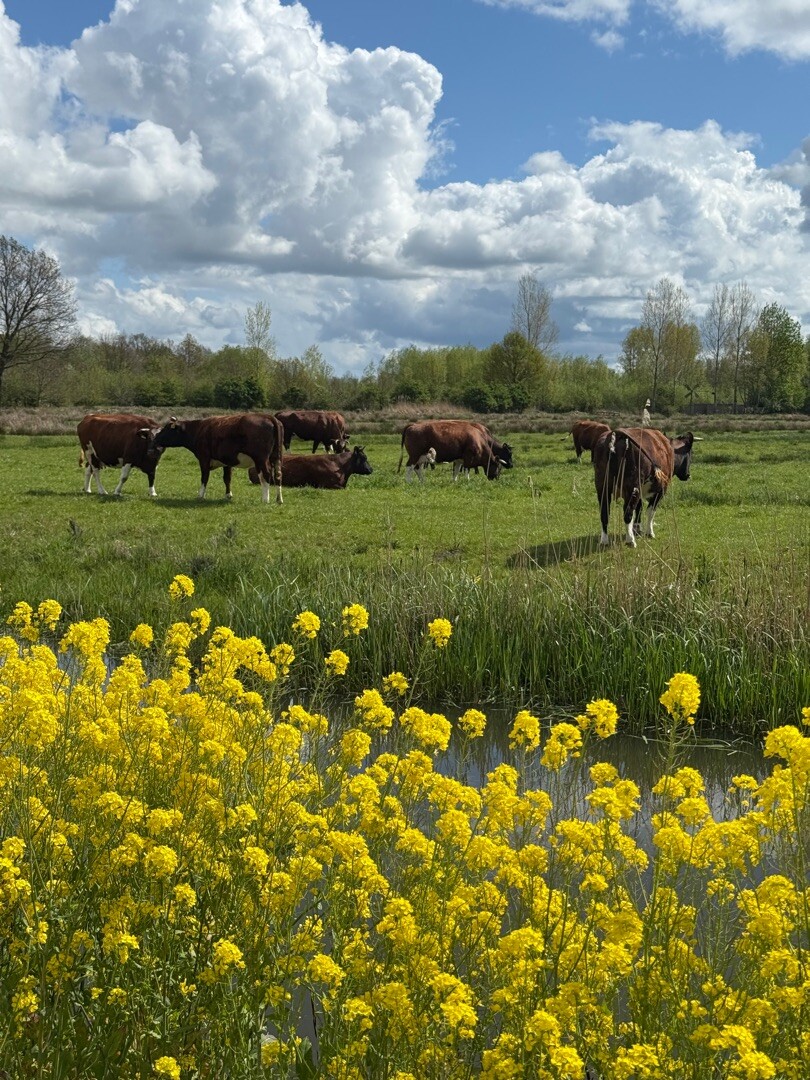 Leidschehoevenpad Tricht