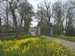 Nederhorst den Berg - Maarssen · Waterliniepad etappe 11
