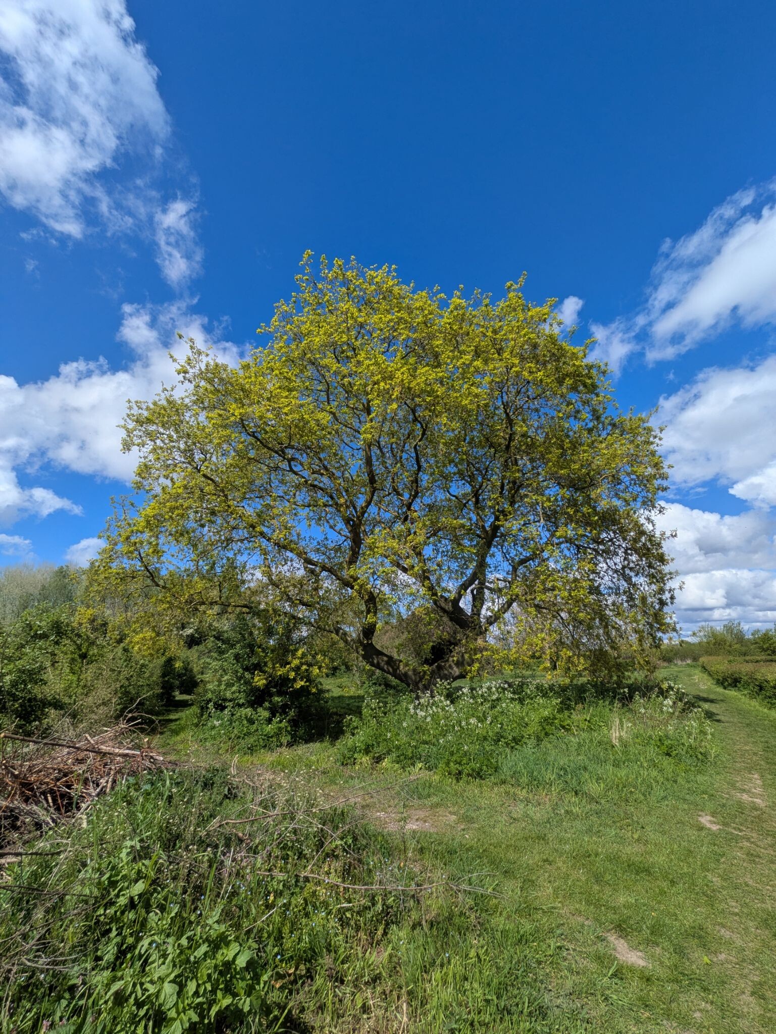 Ommetje Doornik De Pas