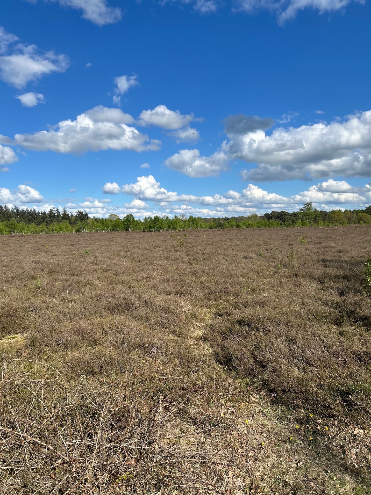 Kanonsbergroute Maashorst