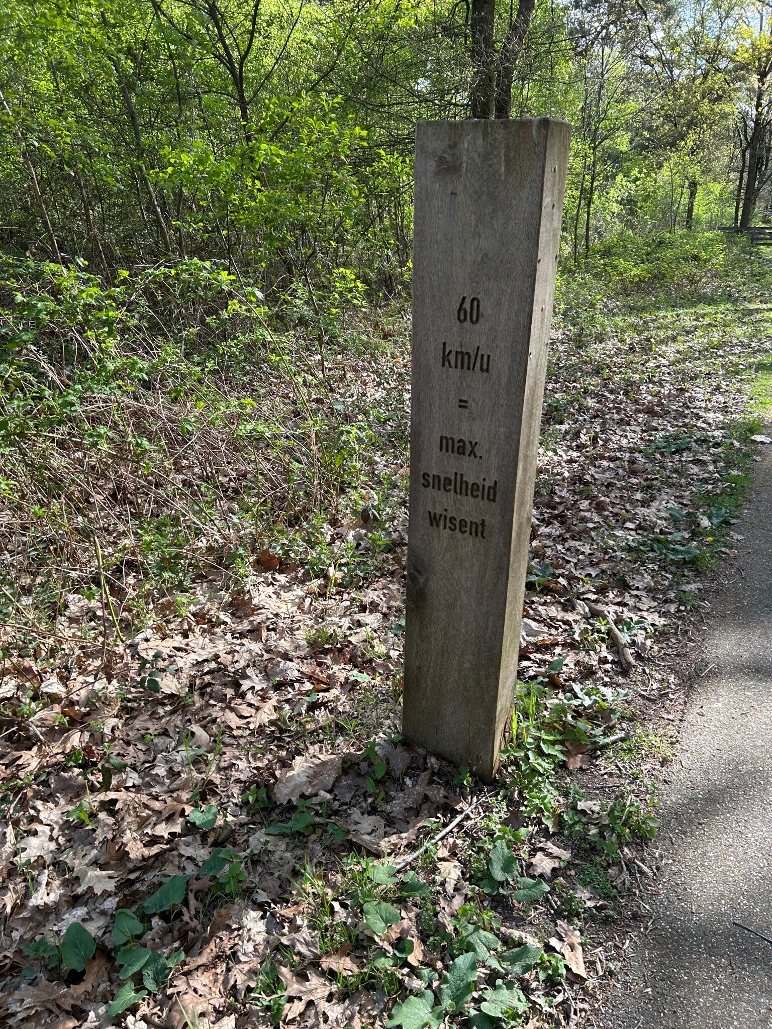 Kanonsbergroute Maashorst